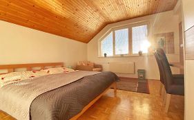 Relax Villa Tatry - Wifi/Tv, Bbq, Billiard